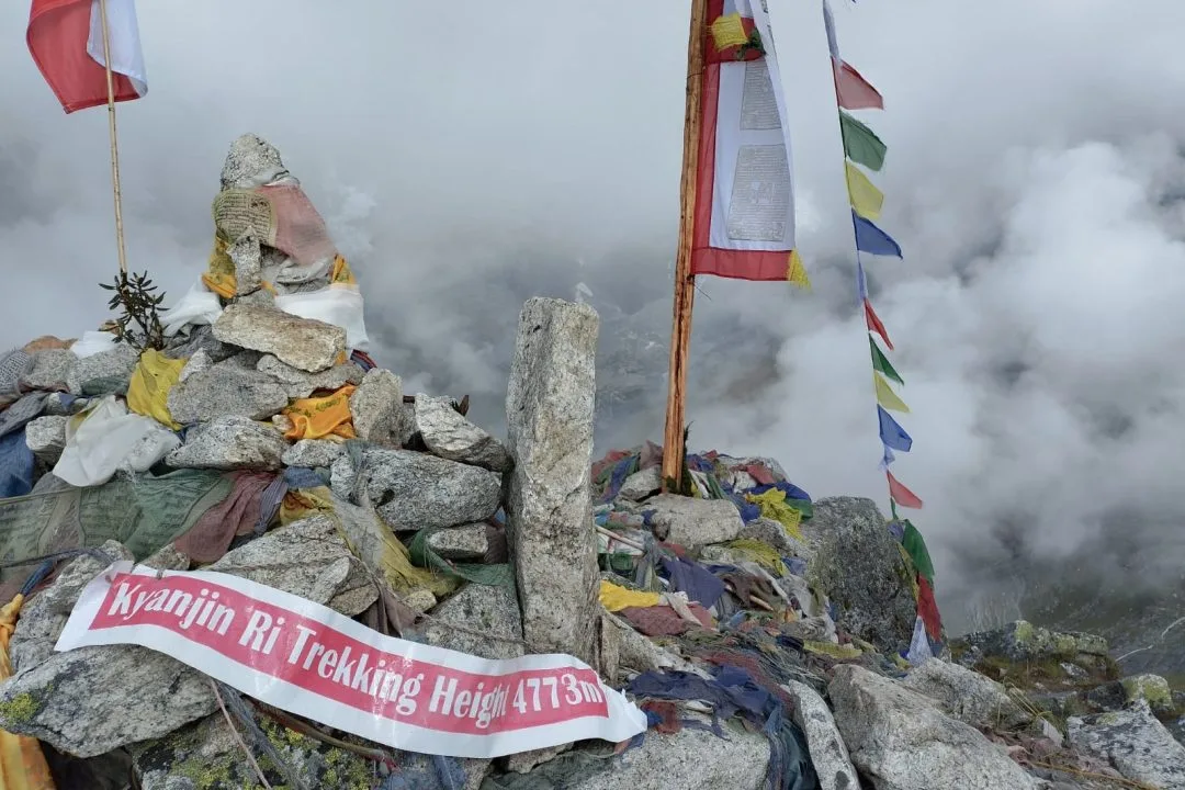 ランタンバレー トレッキング - Nepal Ryokou Treks