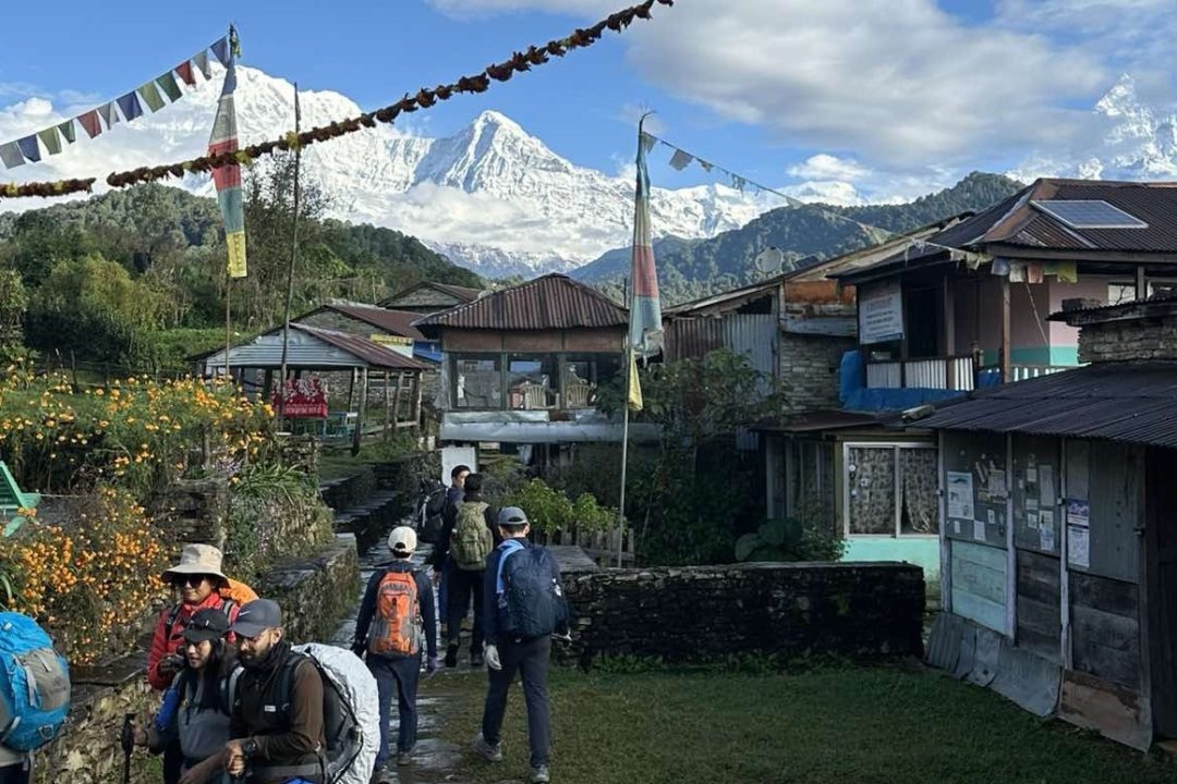 view from Mardi Himalaya