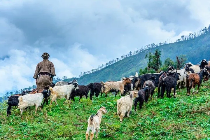 タマンヘリテージトレッキング